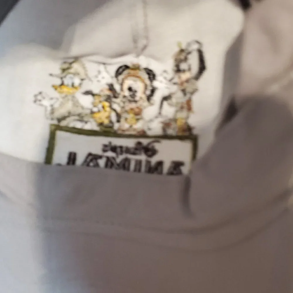 Disney Animal‎ Kingdom Hat Baseball Cap Gray Size Youth Mickey Mouse Hook & Loop
